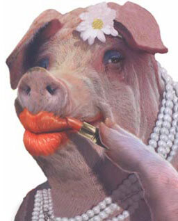 Lipstick-on-a-Pig