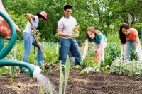 Planting a sustainable community garden