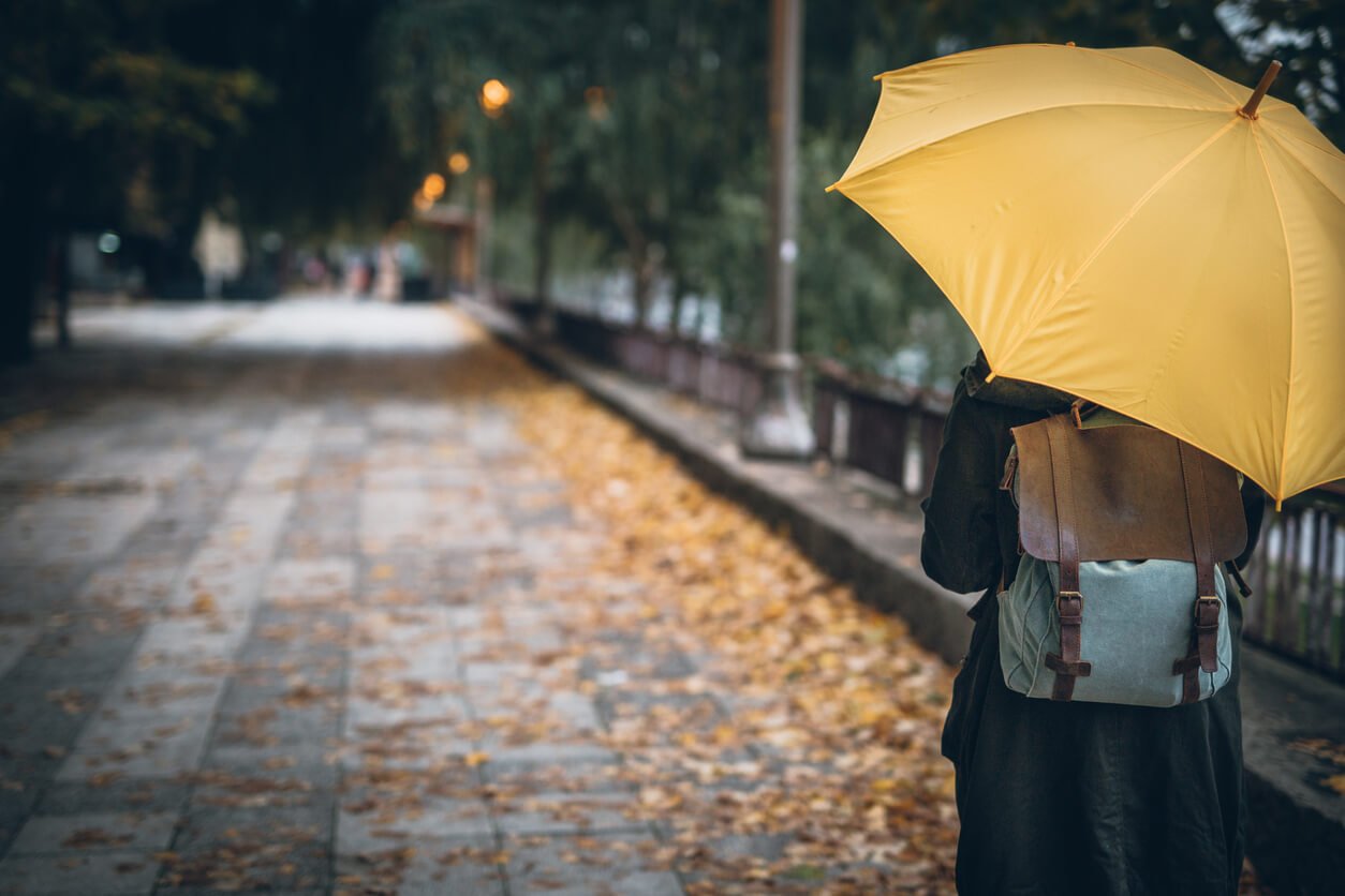 Woman with umbrella walks in the rain