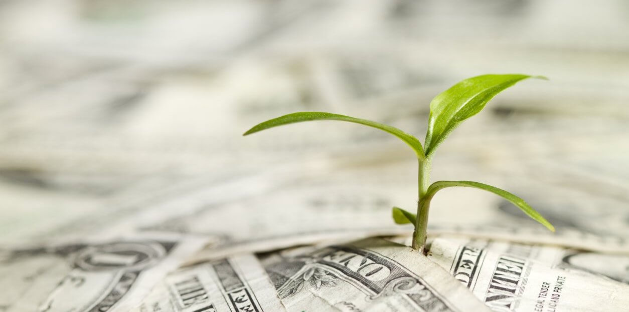 Plant sprouting from money