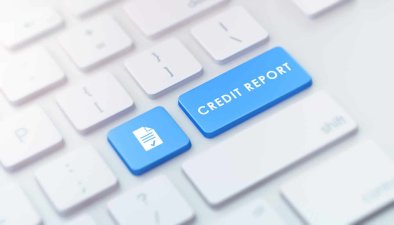Credit report button