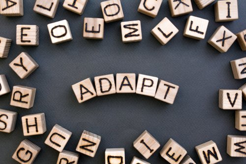 The word "Adapt" Spelled Out By Wooden Blocks