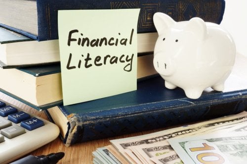 Financial Literacy written on a stick and piggy bank